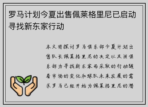 罗马计划今夏出售佩莱格里尼已启动寻找新东家行动