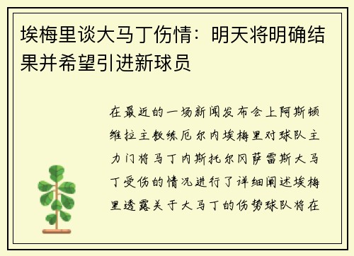 埃梅里谈大马丁伤情：明天将明确结果并希望引进新球员